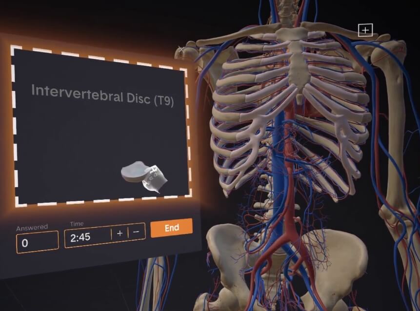 essential anatomy 3 windows download